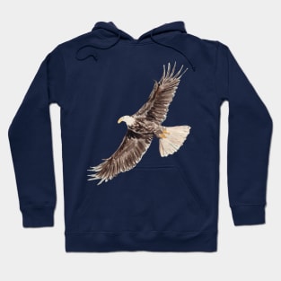 Eagle – king of the skies Hoodie